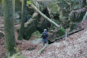 Welzheimer Wald