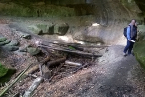 img_0024logos400blur