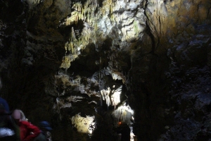 phoca_thumb_m_p1040121logos300blur