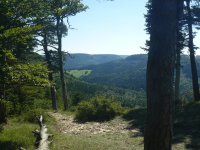 2017-07-24 Schafberg Lochenstein