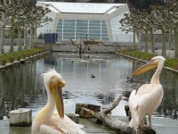 2019-03-26 Wilhelma Besuch 2019