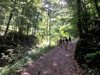 2019-07-22 Bad Urach Hohenwittlingensteig