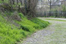 2023-03-27 Stuttgart-Sommerrain Muckensturm Zuckerle