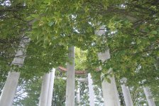 2023-09-18 Möhringen Landhaus Körsch Universität Hohenheim