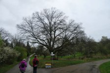 2024-04-01 Winterbach über Schurwald nach Schorndorf