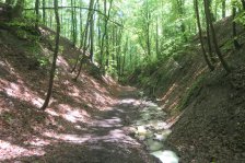 2024-05-18 Sillenbuch Falsche Klinge Rohracker