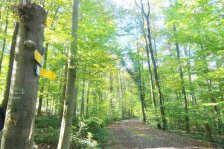 2024-10-21 Stöckenhof Königsbronnhof Rudersberg