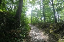 2025-05-12 Heslacher Wand Hasenbergsteige Hajek-Park Karlshöhe