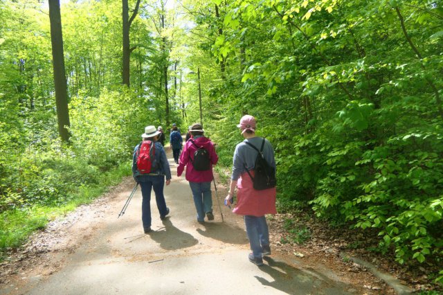 p1060633landsch_wolkk