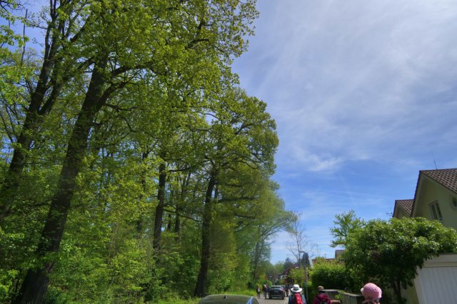 p1060635landsch_sanftk