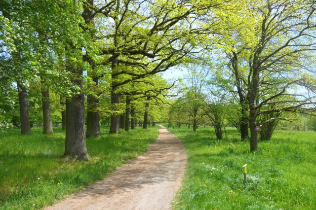 p1060636landsch_wolkk