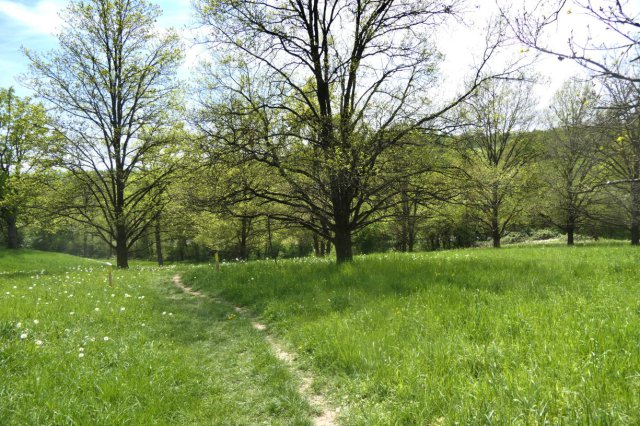 p1060638landsch_klark