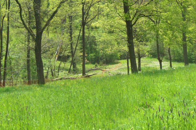 p1060649landsch_wolkk