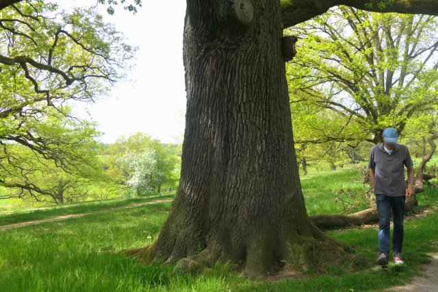 p1060654landsch_wolkk_blur