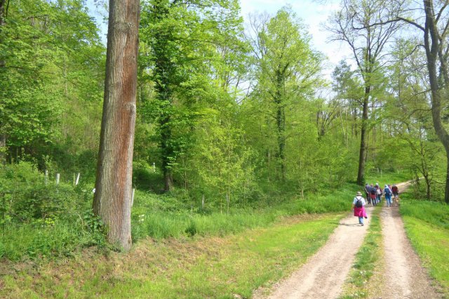 p1060656landsch_wolkk